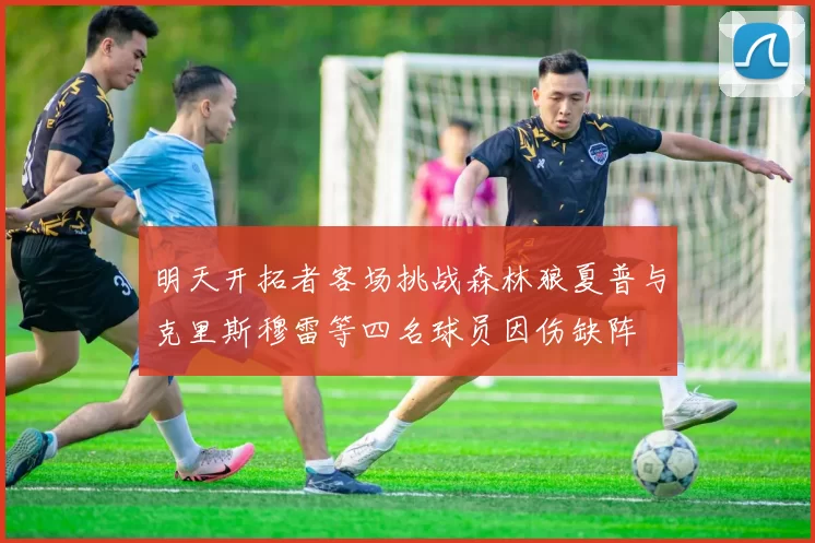明天开拓者客场挑战森林狼夏普与克里斯穆雷等四名球员因伤缺阵